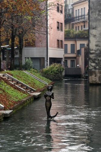 Treviso 5245 copy