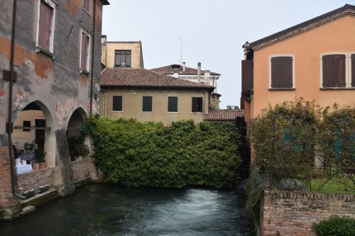 Treviso 5270 copy