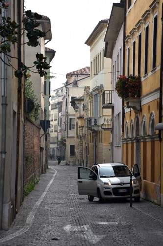 Treviso 5317