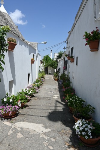 Alberobello 3235 copy