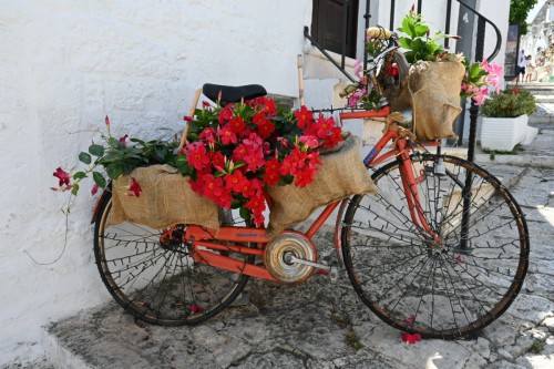 Alberobello 3264