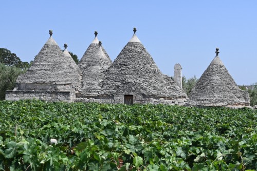 Alberobello 3362