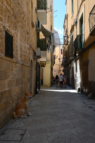 Bari 4758 copy