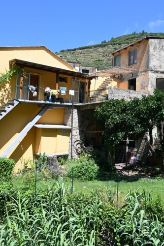 Cinque Terre 5353 copy