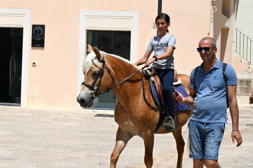 Matera 3503 copy