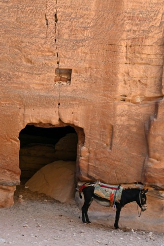 Petra 0487 copy