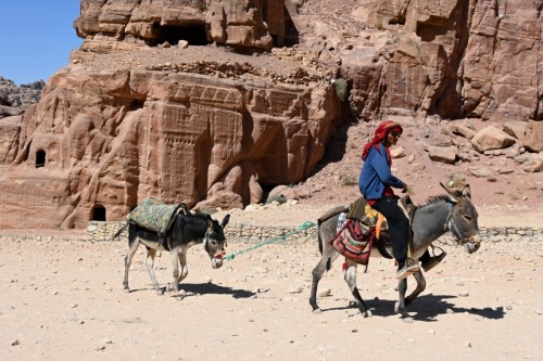 Petra 0493 copy copy