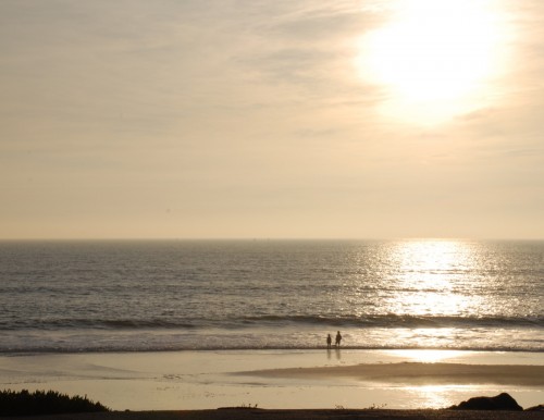 Landscape DSC 0049a