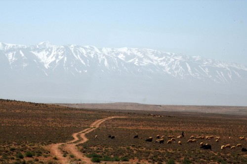 Landscape SAM 7381 copy1