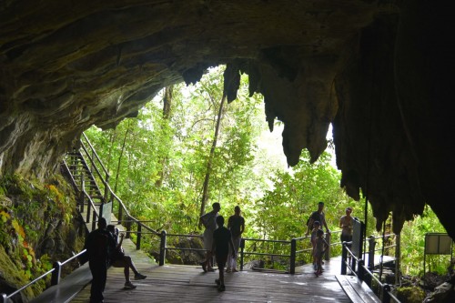 Malaysia Mulu 0843 copy