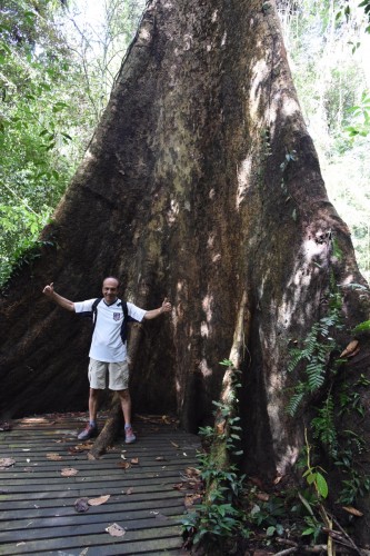 Malaysia Mulu 0965