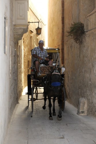 Malta 6003 copy