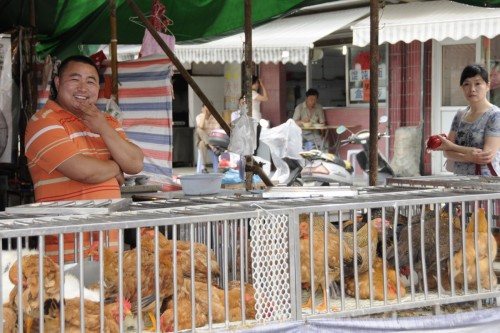 Market  SAM2985 copy