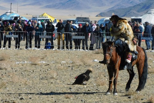 Eagle Festival1872 copy