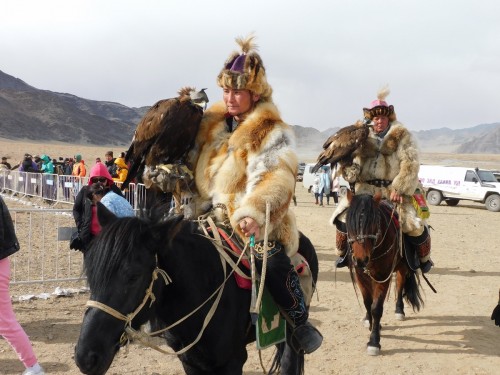 Eagle Festival 1509