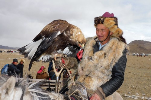 Eagle Festival 1560 copy