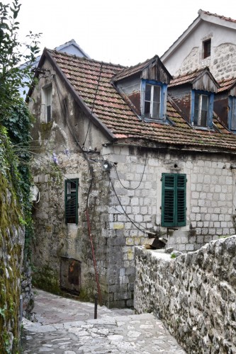 Montenegro 8218 copy