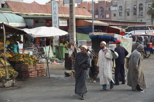 Morocco Casablanca 9248