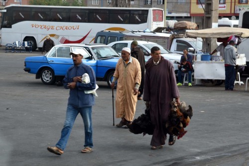 Morocco Casablanca 9249 copy
