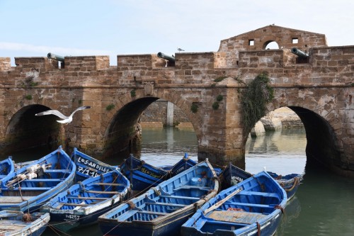 Morocco Essaouira 8942 copy