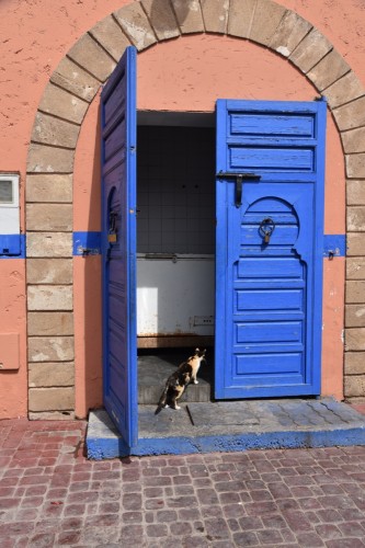 Morocco Essaouira 9011