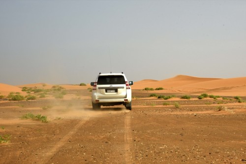 Morocco Sahara 7666 copy