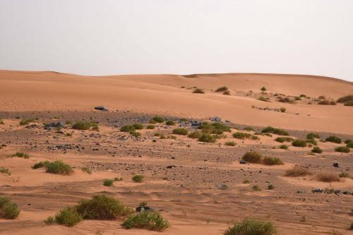 Morocco Sahara 7669 copy