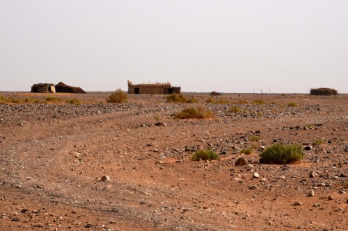 Morocco Sahara 7673 copy