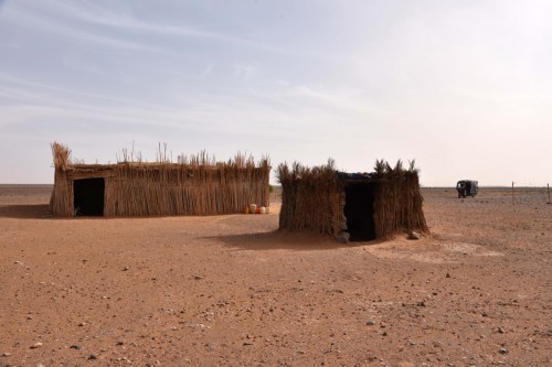 Morocco Sahara 7684 copy