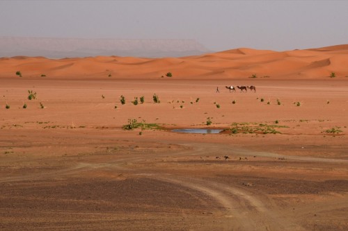 Morocco Sahara 7710 copy