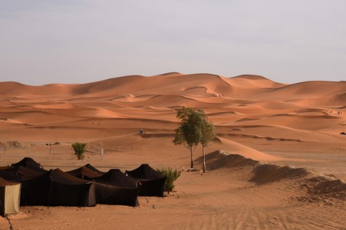 Morocco Sahara 7734 copy