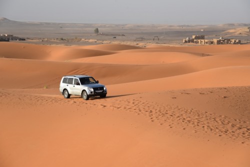 Morocco Sahara 7813