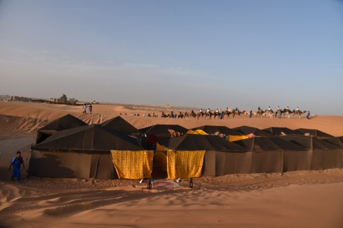 Morocco Sahara 7838
