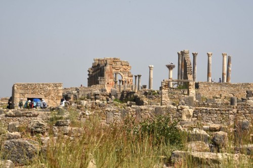 Morocco Volubilis 6882 copy