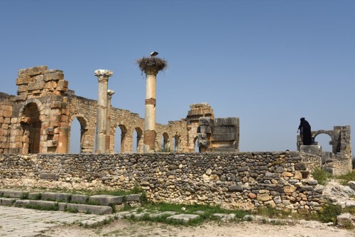 Morocco Volubilis 6913 copy