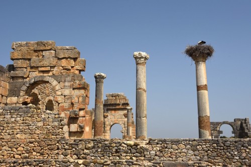 Morocco Volubilis 6915 copy