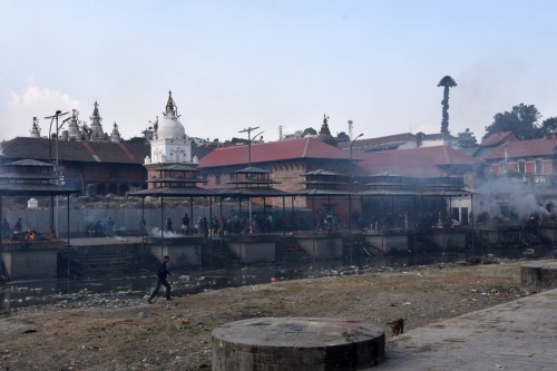 Pashupatinath 3674 copy