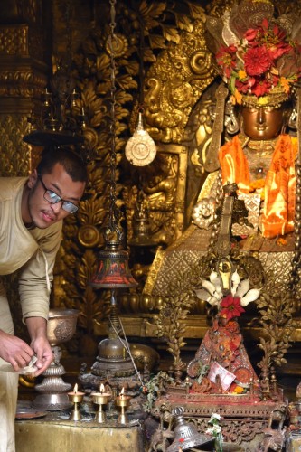 Patan 4259 copy
