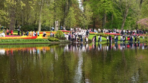 Netherlands Lisse 2563 copy