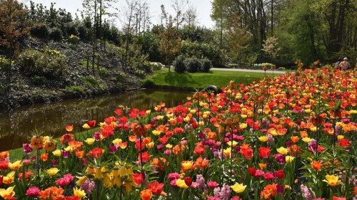 Netherlands Lisse 2602 copy