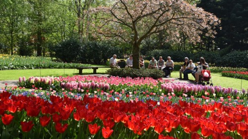 Netherlands Lisse 2702