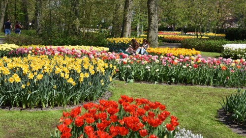 Netherlands Lisse 2706 copy