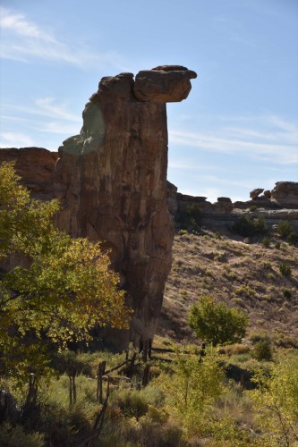 New Mexico 6093 copy