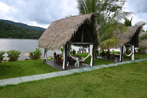 Laguna 8875-copy