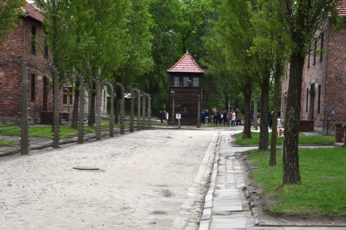Auschwitz 2315 copy