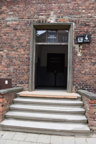 Auschwitz 2351 copy