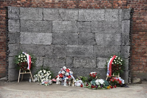 Auschwitz 2391