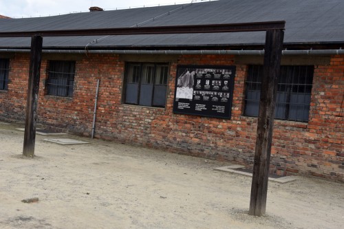 Auschwitz 2398 copy