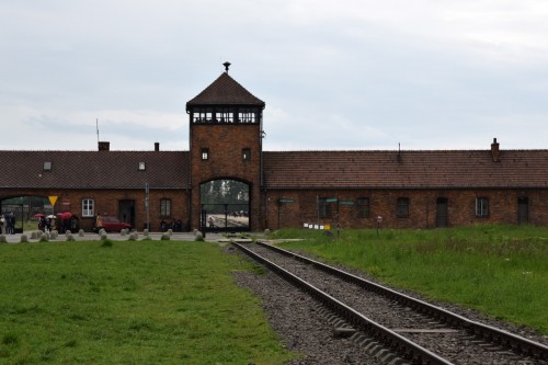 Auschwitz 2427 copy