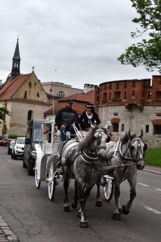 Krakow 2498 copy